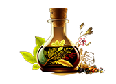 Collection of botanical extracts derived from natural sources. This image emphasizes the use of plants in creating health-promoting compounds