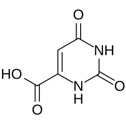 orotic acid