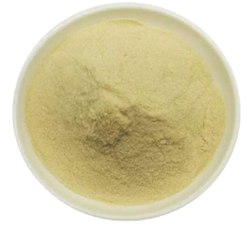 Pyridoxal-5′-Phosphate