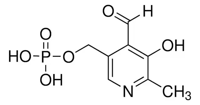 Pyridoxal-5′-Phosphate